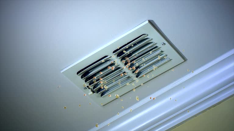 Best Air Duct Cleaning Near Me  in Lambertville, MI