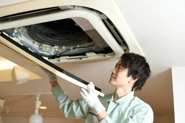 Best Home Air Vent Cleaning  in Lambertville, MI